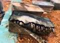 பலாலி பகுதியில் அடையாளங் காணப்பட்டுள்ள வெடி பொருட்கள்