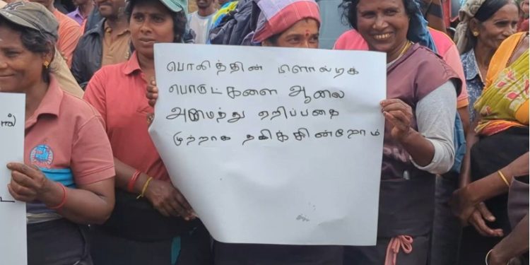 ஹட்டன் – டிக்கோயா குப்பை திட்டத்திற்கு எதிராக மக்கள் போராட்டம்