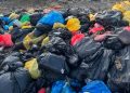 கீரிமலையில் கொட்டப்பட்ட புற்றுநோய் மருத்துவ கழிவுகள்