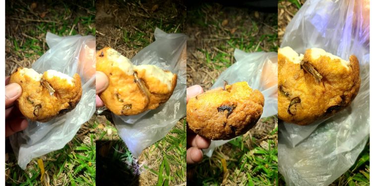 உணவின் தரம் குறித்து மீண்டும் கேள்வி – மன்னாரில் அதிர்ச்சி சம்பவம்