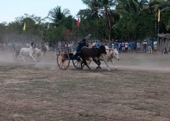 தமிழர்களின் பாரம்பரிய விளையாட்டுக்களில் ஒன்றான மாபெரும் மாட்டு வண்டி சவாரி