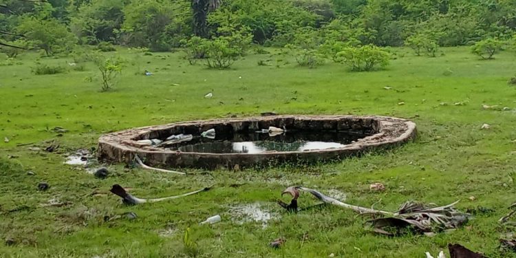 ஆபத்தான நீர்நிலைகள் குறித்து அவதானம் தேவை: யாழ்.போதனா வைத்தியசாலை பணிப்பாளர்!