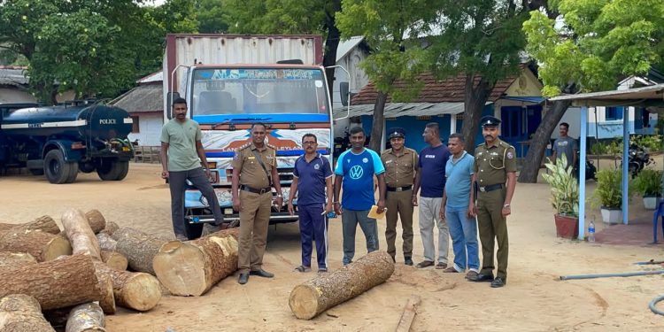யாழில் மரக்குற்றிகளுடன் ஒருவர் கைது