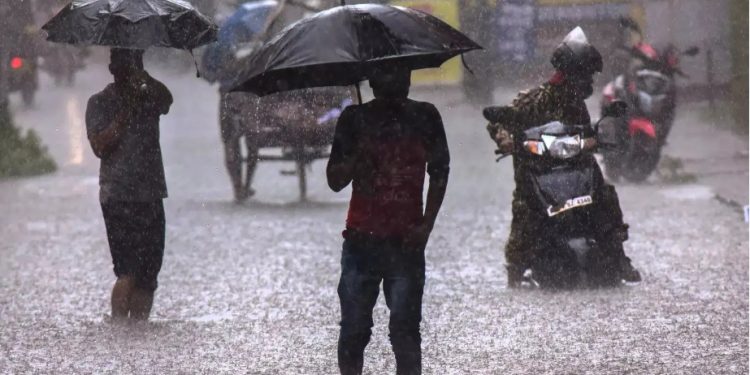 நுவரெலியாவில் கடும் மழை – போக்குவரத்துப் பாதிப்பு!