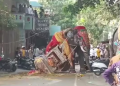 கர்நாடகா தசரா ஊர்வலத்தில் மிரண்டோடிய யானை!
