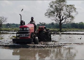 வவுனியாவில் 63,235 ஏக்கரில் பெரும்போக நெற்செய்கை!