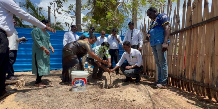மன்னாரில் பயனாளிகளுக்கான வீடுகள் வழங்கும் நிகழ்வு ஆரம்பம்