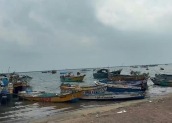 பாம்பன் மீனவர் வலையில் சிக்கிய 350 கிலோ எடை கொண்ட மீன்