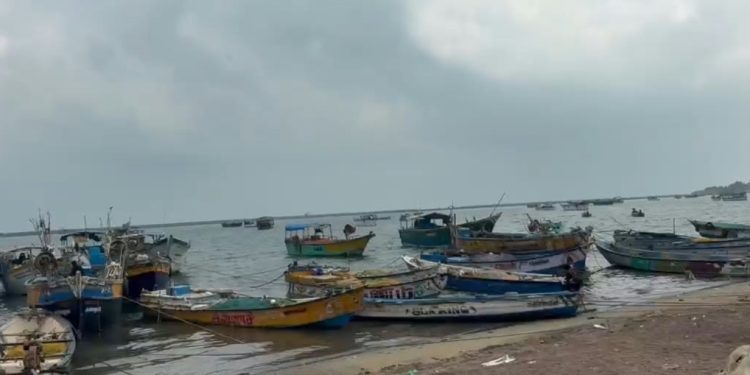 பாம்பன் மீனவர் வலையில் சிக்கிய 350 கிலோ எடை கொண்ட மீன்