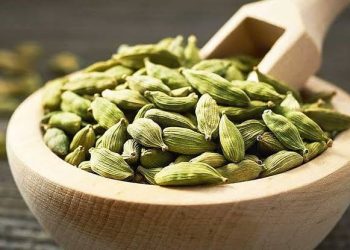 ஏலக்காயில் காணப்படும் நன்மைகள் என்ன உங்களுக்கு தெரியுமா?