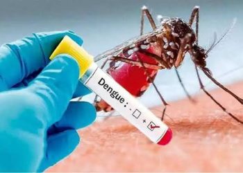 இலங்கையில் அதிகரிக்கும் டெங்கு உயிரிழப்புகள்