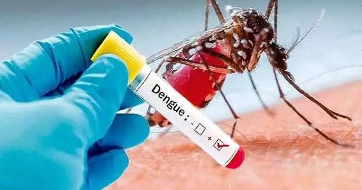 இலங்கையில் அதிகரிக்கும் டெங்கு உயிரிழப்புகள்