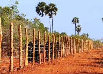 வலி. வடக்கு காணி விடுவிப்பு – 26ஆவது வாரமாக போராட்டம் முன்னெடுப்பு