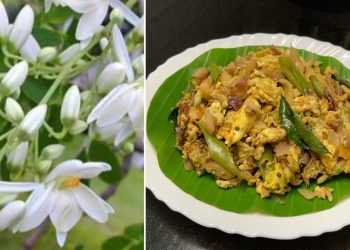 முருங்கைப் பூவில் இருக்கும் சத்துக்கள் பற்றி தெரியுமா?