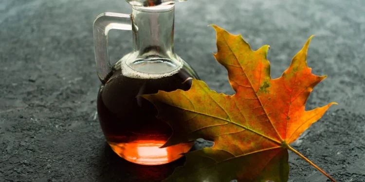 மேப்பிள் சிரப்பிற்கான தேவை அதிகரிப்பு – கியூபெக்கில் உற்பத்தியை விரிவுபடுத்த நடவடிக்கை